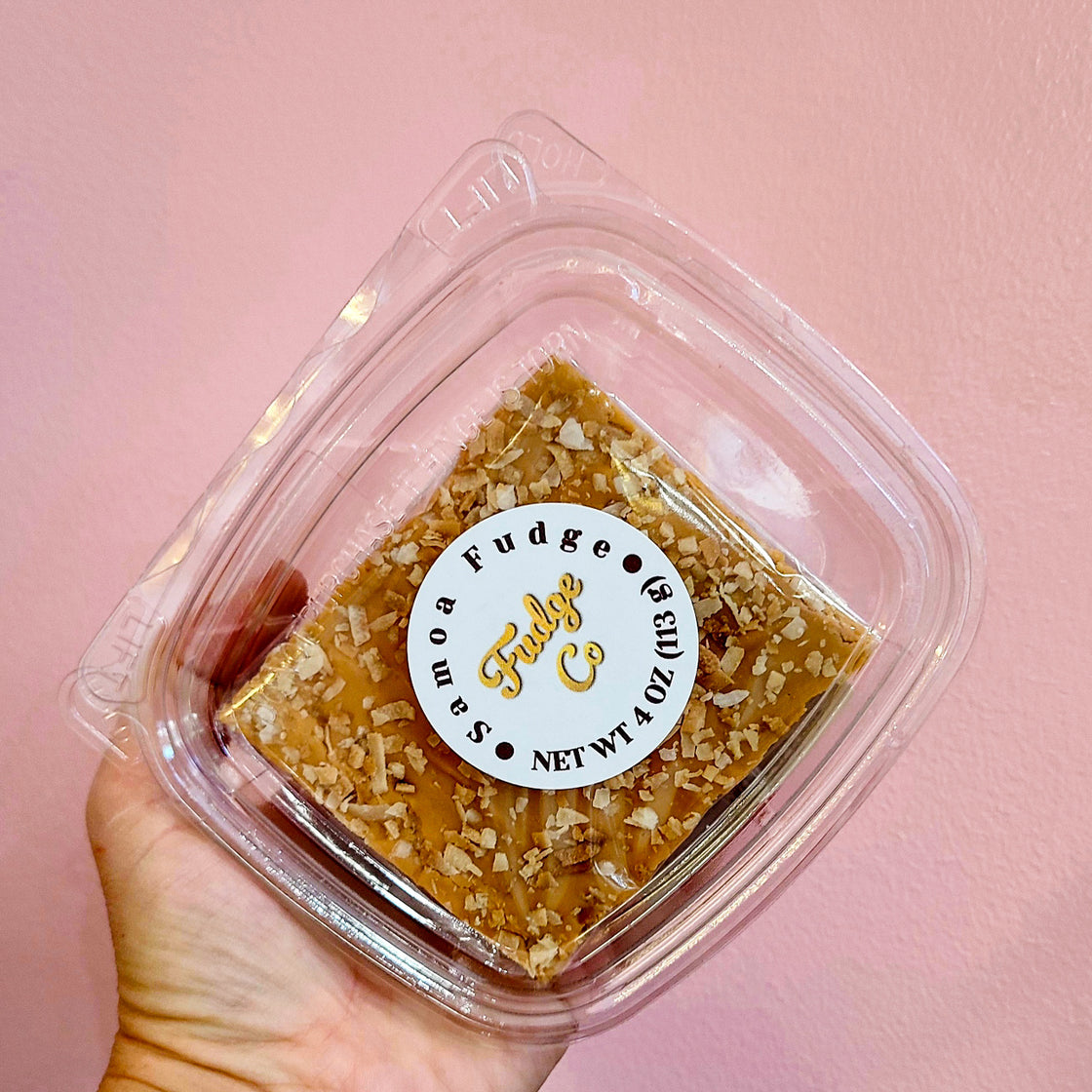 Coconut Caramel Fudge